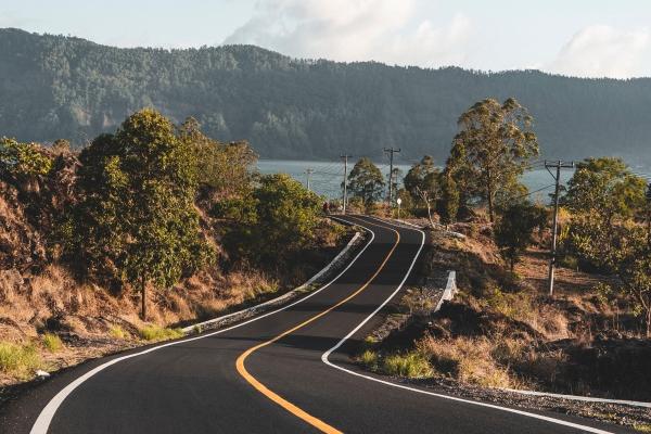 生肖虎2025年运势