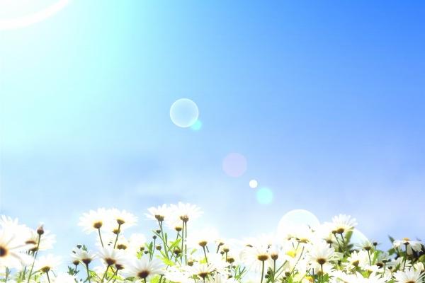 86年属虎做什么生意最旺