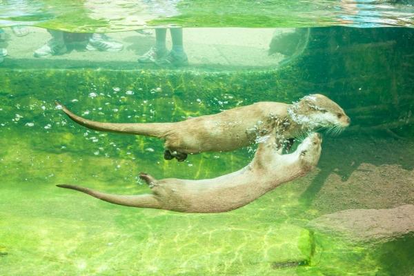 2008年几月出生的鼠宝宝最好