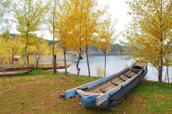 2005属鸡的人一生运程