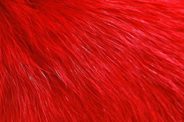 属蛇怕属虎的吗