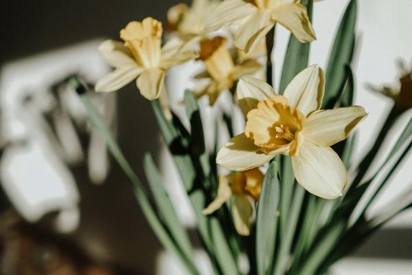 2002属马的五行属性是什么