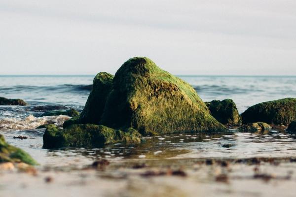 1972年属鼠住几楼比较好