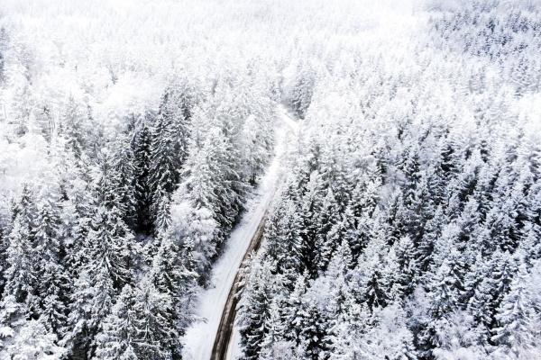 属猴最不顺的年份