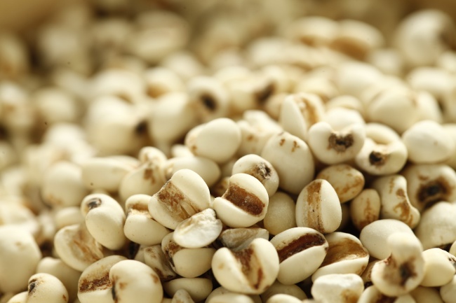 属鼠人最佳睡床方位