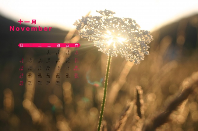 属羊人晚年和谁在一起