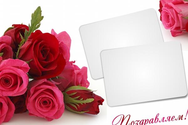 最旺牛的三个生肖