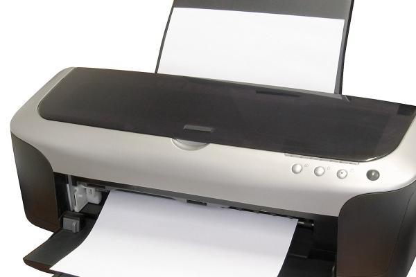 2025属虎人全年运势如何