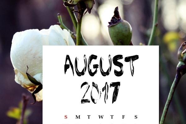 属蛇最聪明三个特征