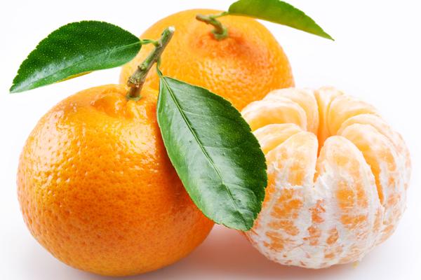 2025年兔的大忌颜色