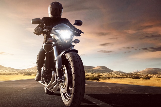 2025年属兔百年难遇的生肖