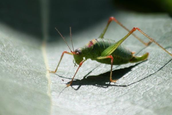 1973年属牛男人的婚姻和命运
