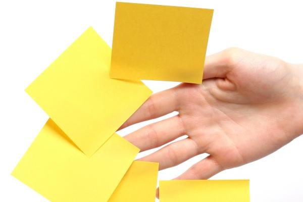 2025属兔的人的全年运势怎么样