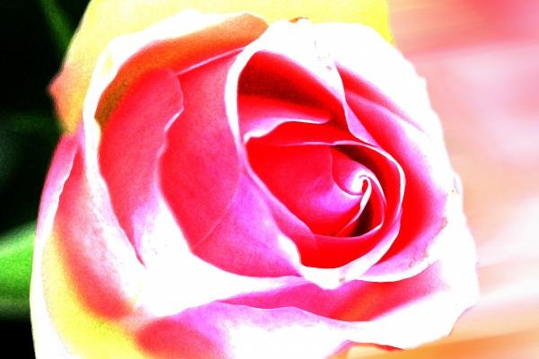 出生时辰2008属鼠几点出生好