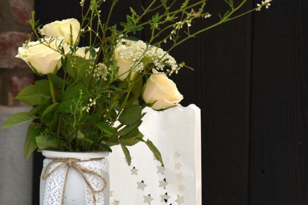 2025属虎人的全年运势详解图