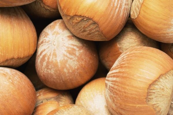 几点出生的虎是懒虎