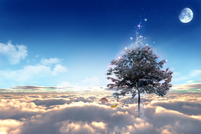 属鼠人怎么转运