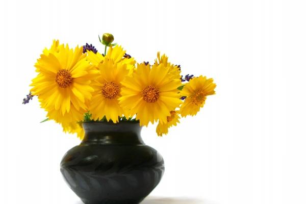 属龙的文昌位在哪个方向，有利属龙人的学习方位在哪