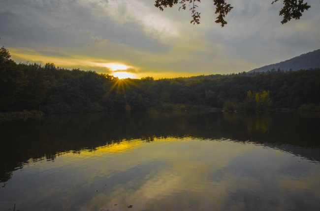 99年属兔正缘出现年份