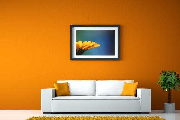 2025属蛇本命年运势怎么样女