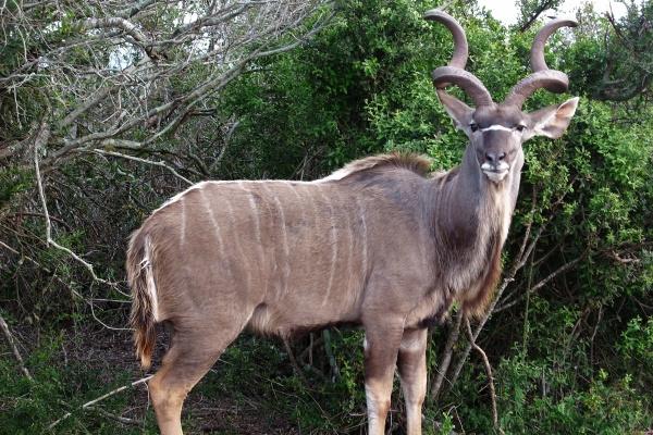 97年正缘最迟多久出现