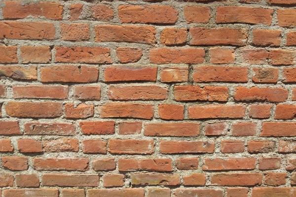 属马生什么属相宝宝好