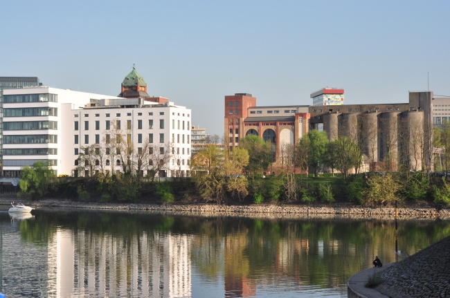 属狗人行大运的年份