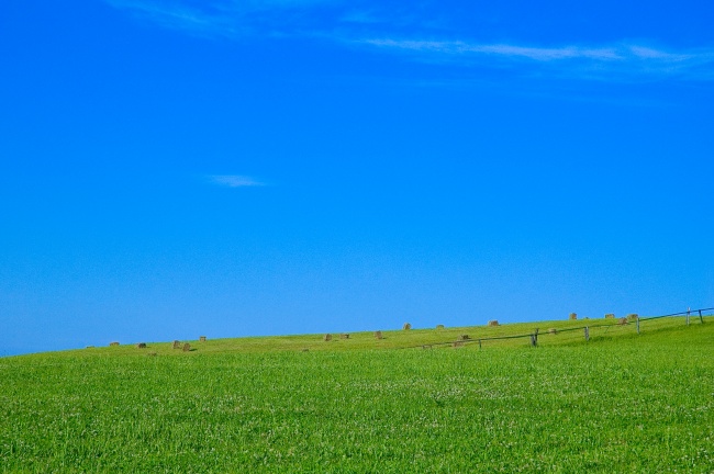 1998属虎哪一年会动婚，98年属虎人遇真爱时间