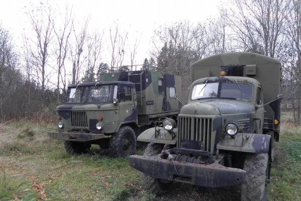 2002属马几岁遇真爱