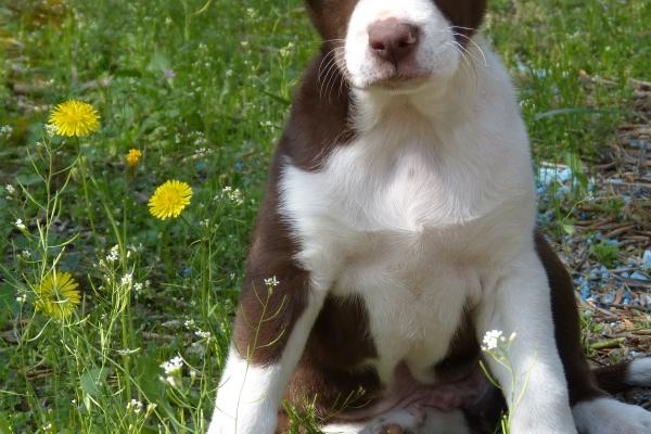 1997属牛女的婚姻哪年结婚最好