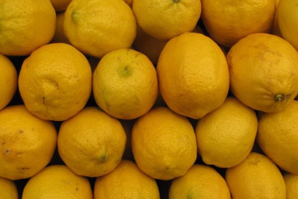 1984年属鼠人在2026年的运势