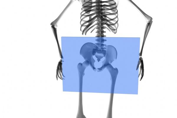 2025年属兔运势及运程详解