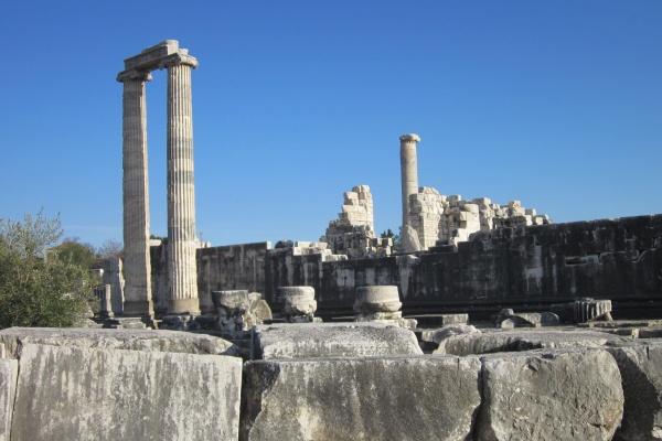 蛇宝宝忌什么属相的生肖