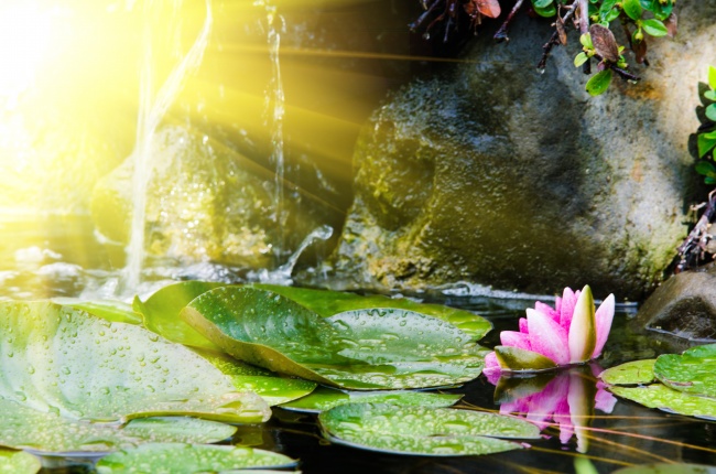 属鼠2028年每个月运势如何