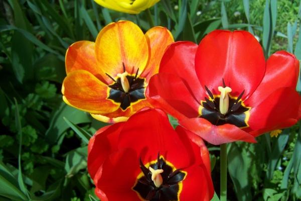 2025属狗要小心一个人