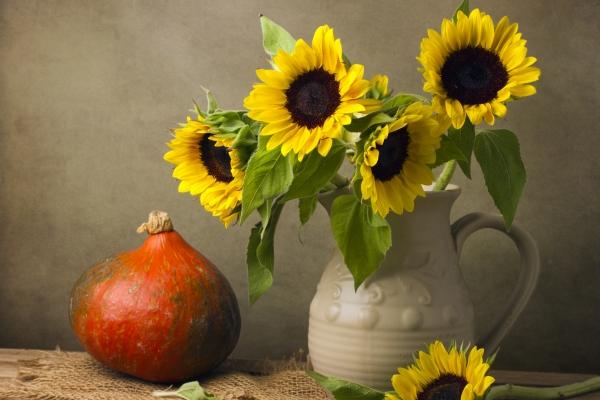 属猴女2025年的运气