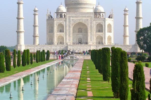 属牛水命做什么行业