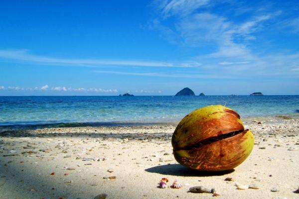 属猴女一生有几个男人