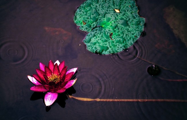 74年虎是木命还是水命