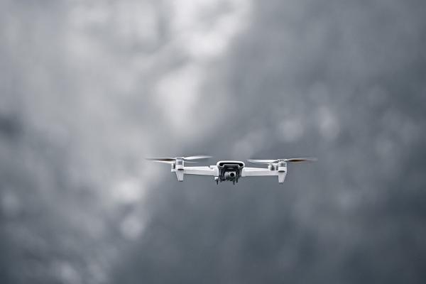 83年猪离婚在哪一年