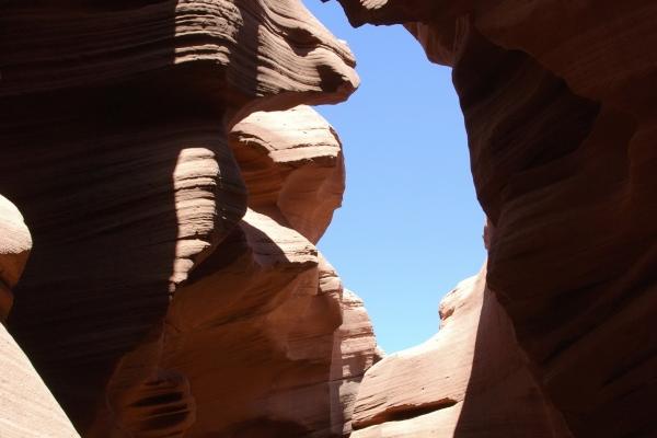 属牛一碰就发财的专业