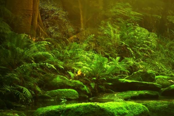 1985年属牛男性2025全年运势