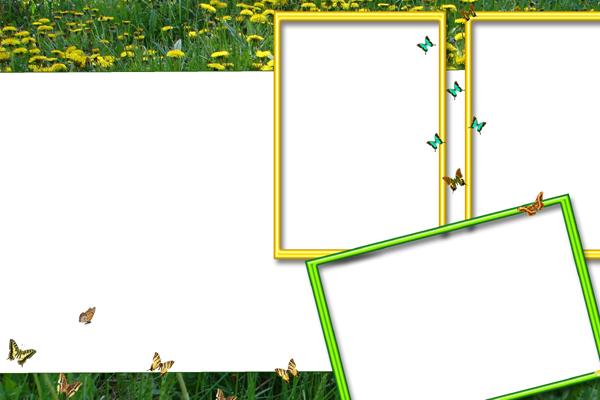 属牛最聪明三个特征