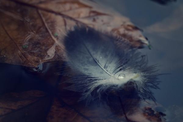 99年兔的正缘桃花是谁