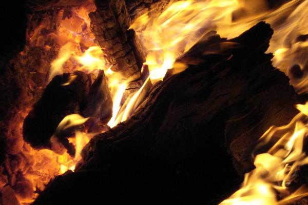 属虎的最佳终身伴侣是谁