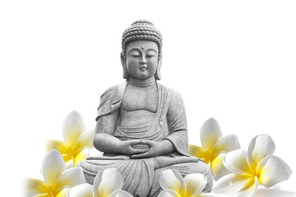 2025生肖龙的运势大全