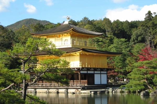 74年属虎51岁2025劫难