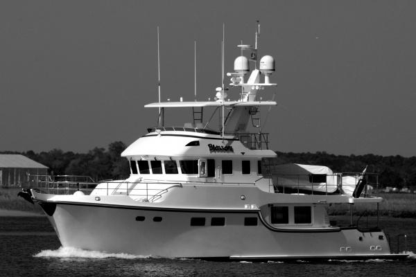 属兔的家里忌讳摆放什么，属兔人家里什么不能放