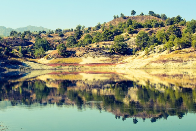 一家可以有二虎吗