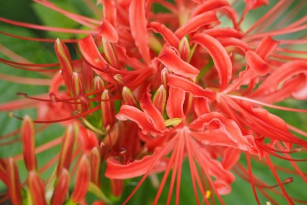 什么属相管得住鼠